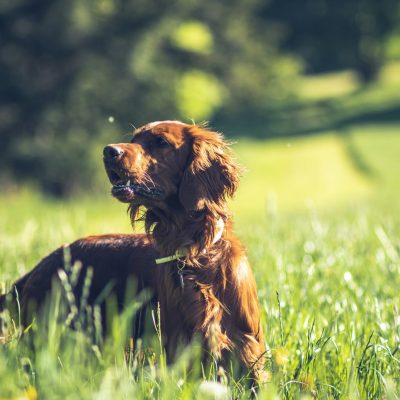 Photo by Gary Sandoz on Unsplash