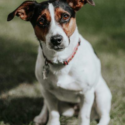 Photo by Gemma Regalado on Unsplash