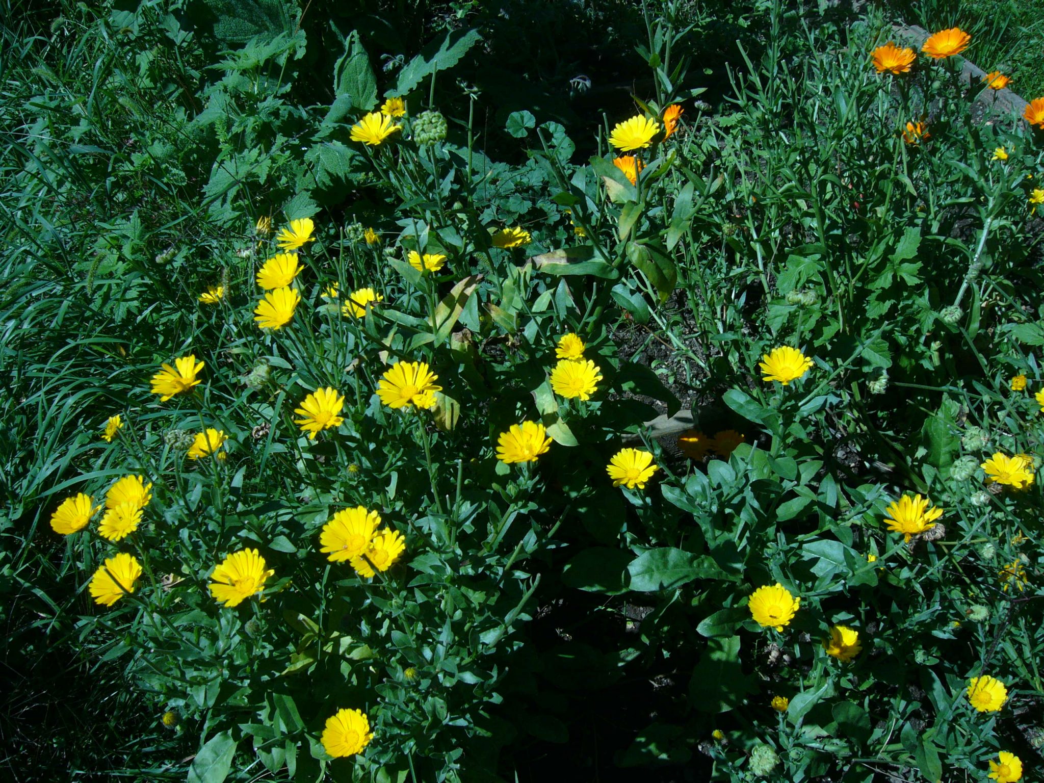 p1310288