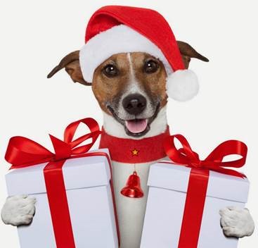 End of the Year Sale
