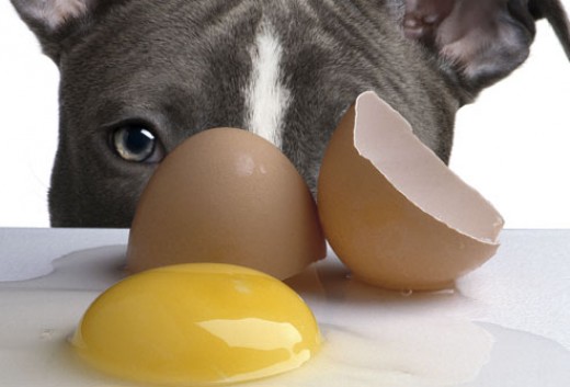 The Raw and the Cooked