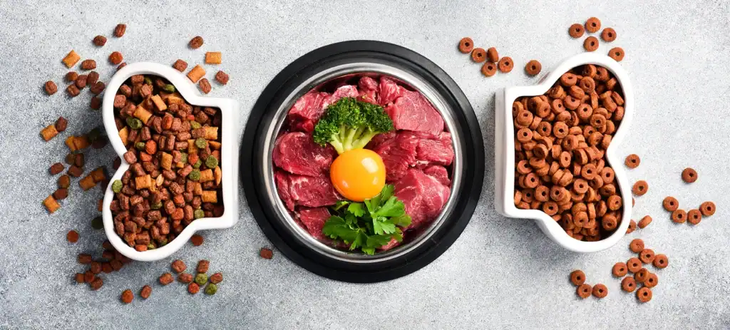 Image showing dry pet food with natural ingredients. Raw meat in a bowl for pets. A set of different fodder and food for dogs or cats and a balanced nutrition