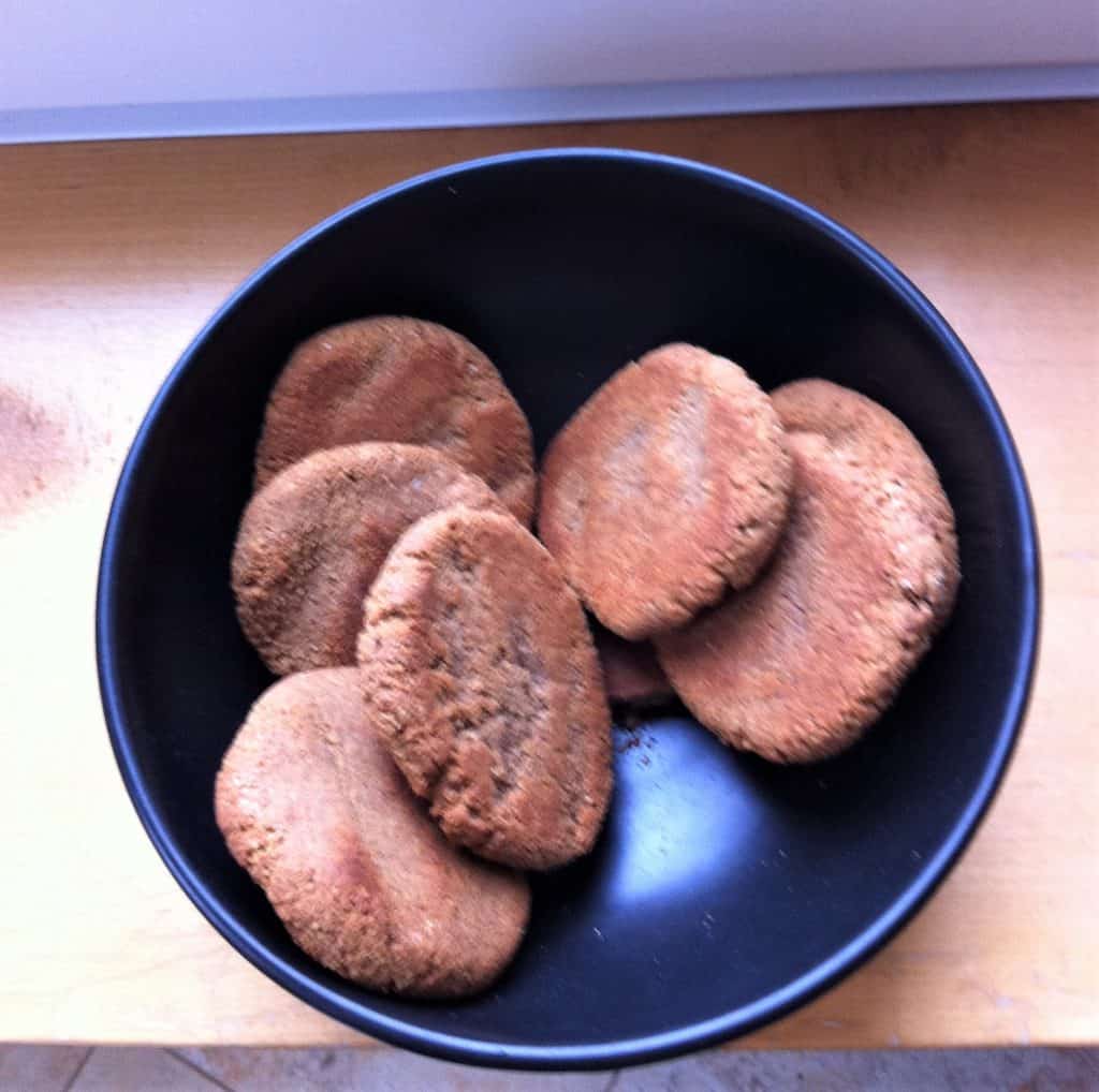 A bowl with round patties of dog food