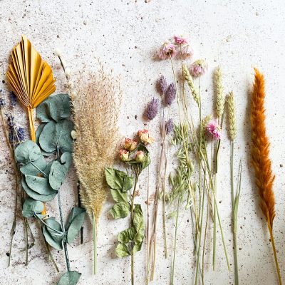 Photo by micheile henderson on Unsplash