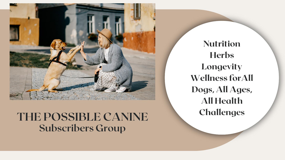 The Possible Canine Membership Hub banner image