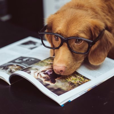 Photo by Jamie Street on Unsplash