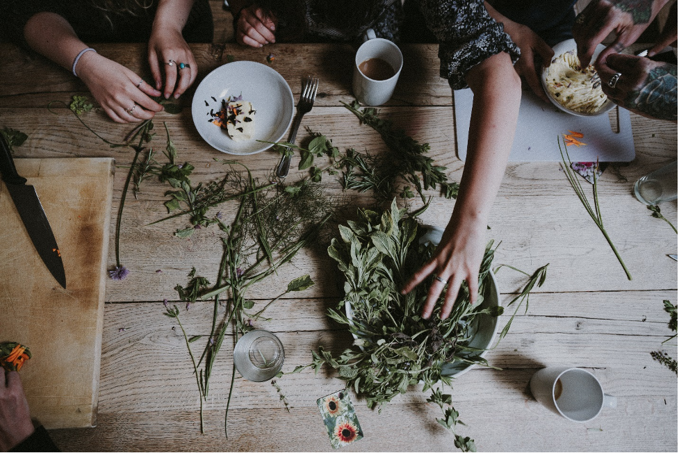 People working with herbs