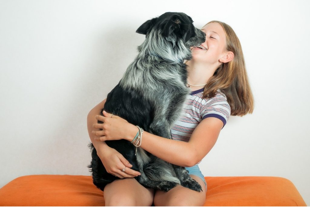 Dog on owners lap give them kisses