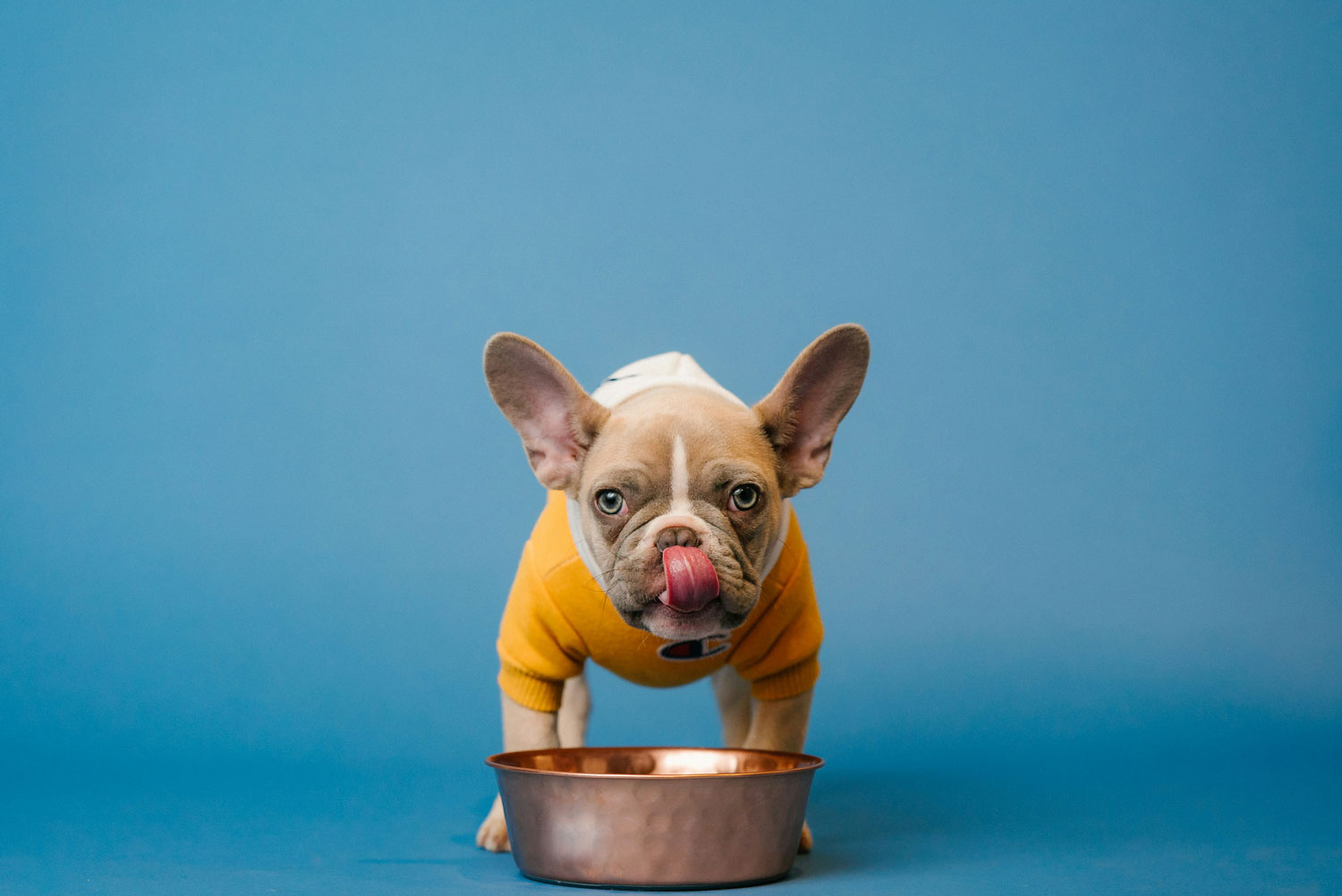 Photo by Karsten Winegeart on Unsplash