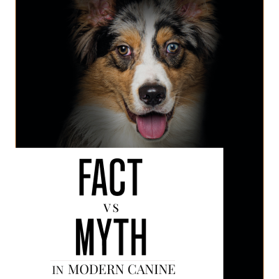 Fact vs Myth - book cover