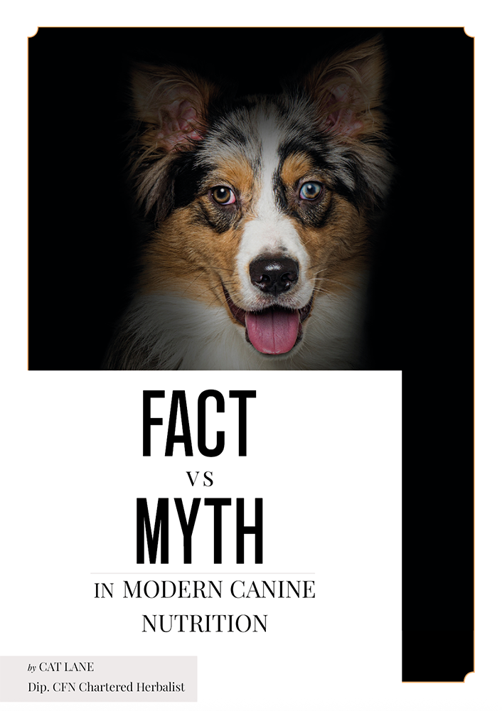 Cover to Fact vs. Myths in Modern Canine Nutrition by Cat Lane ©2026