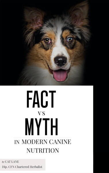 myths-book-cover2-current-bar