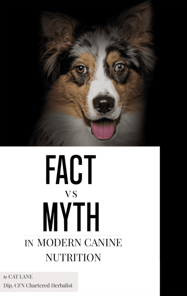 myths-book-cover2-current-bar